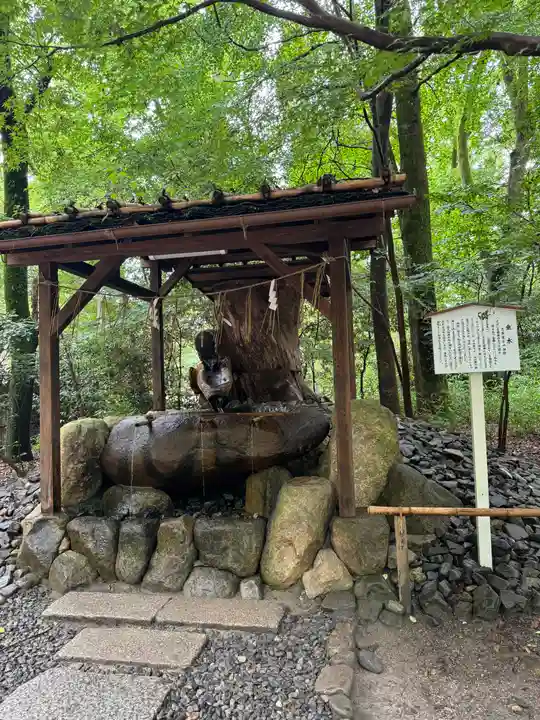 賀茂御祖神社(下鴨神社)(京都府)