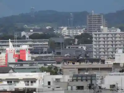 大樹寺（松安院大樹寺）の周辺