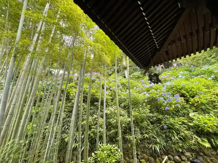 長谷寺(神奈川県)