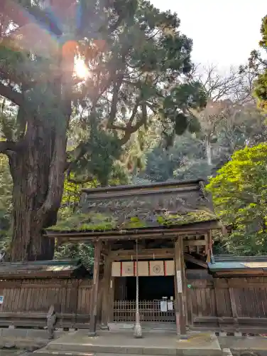 若狭姫神社（若狭彦神社下社）の{uncategorized: "未分類", other: "その他", undefined: "問題あり", building: "その他建物", grave: "お墓", sacred_gate: "鳥居", guardian: "狛犬", statue: "像", buddha: "仏像", history: "歴史", nature: "自然", garden: "庭園", animal: "動物", pagoda: "塔", temizu: "手水舎", mountain_gate: "山門・神門", sanctuary: "本殿・本堂", subordinate: "末社・摂社", art: "芸術", scenery: "景色", jizo: "地蔵", ema: "絵馬", goshuin: "御朱印", omikuji: "おみくじ", items: "授与品その他", amulet: "お守り", goshuincho: "御朱印帳", eats: "食事", festival: "お祭り", votive_dance: "神楽", shichigosan: "七五三参", wedding: "結婚式", experience: "体験その他", initially: "初詣", around: "周辺", anti_infection: "感染症対策"}