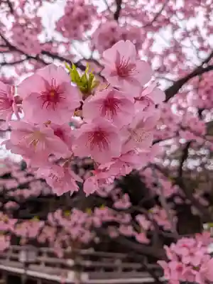 新宿下落合氷川神社(東京都)