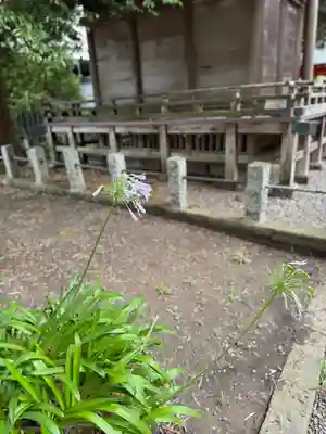 玉前神社(千葉県)