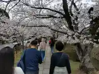 慈照寺(慈照禅寺・銀閣寺)の{uncategorized: "未分類", other: "その他", undefined: "問題あり", building: "その他建物", grave: "お墓", sacred_gate: "鳥居", guardian: "狛犬", statue: "像", buddha: "仏像", history: "歴史", nature: "自然", garden: "庭園", animal: "動物", pagoda: "塔", temizu: "手水舎", mountain_gate: "山門・神門", sanctuary: "本殿・本堂", subordinate: "末社・摂社", art: "芸術", scenery: "景色", jizo: "地蔵", ema: "絵馬", goshuin: "御朱印", omikuji: "おみくじ", items: "授与品その他", amulet: "お守り", goshuincho: "御朱印帳", eats: "食事", festival: "お祭り", votive_dance: "神楽", shichigosan: "七五三参", wedding: "結婚式", experience: "体験その他", initially: "初詣", around: "周辺", anti_infection: "感染症対策"}