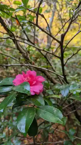 霊鑑寺門跡(京都府)