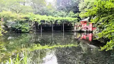 富士山本宮浅間大社(静岡県)