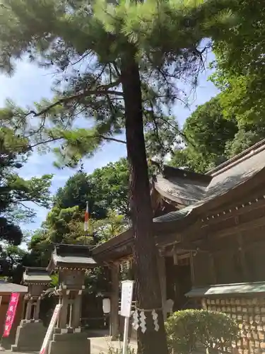 前鳥神社(神奈川県)