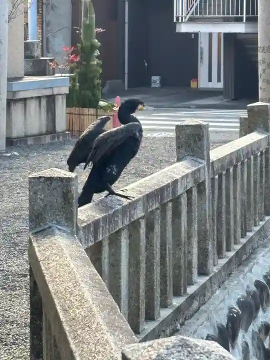川原神社(愛知県)