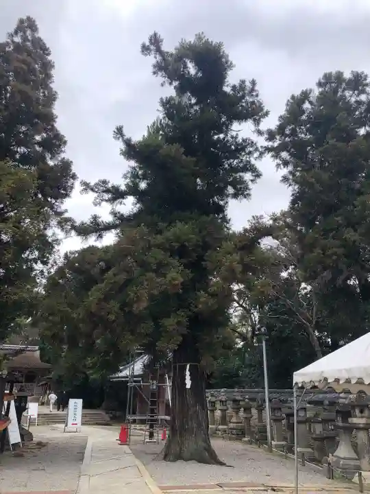 石清水八幡宮の自然