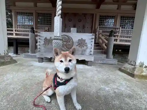 尻岸内八幡神社の動物