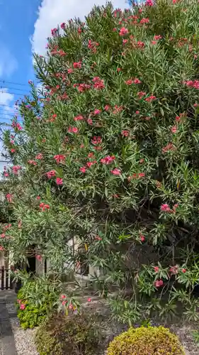 上宮王院聖徳寺(京都府)