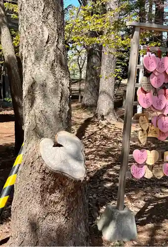 大谷地神社の自然