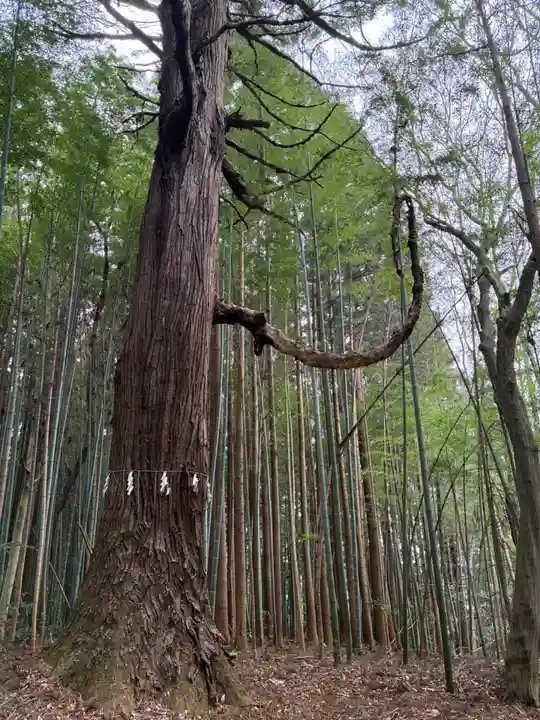 那須愛宕山鎮座 高久神社(栃木県)