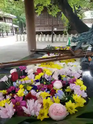 熊野神社の手水舎
