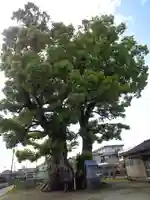 亀坂神社(熊本県)