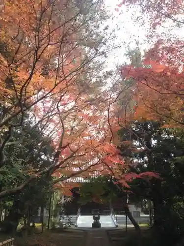 大正寺のその他建物