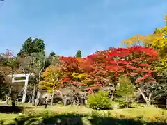 土津神社｜こどもと出世の神さまの自然