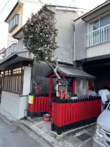 白箔辨戝天(京都府)