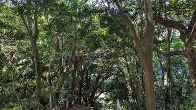 金毘羅神社の自然