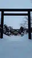 烈々布神社の鳥居