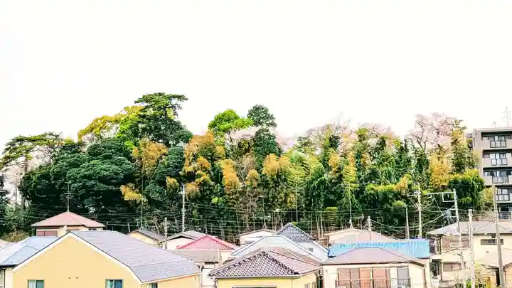 大宮・大原神社の景色