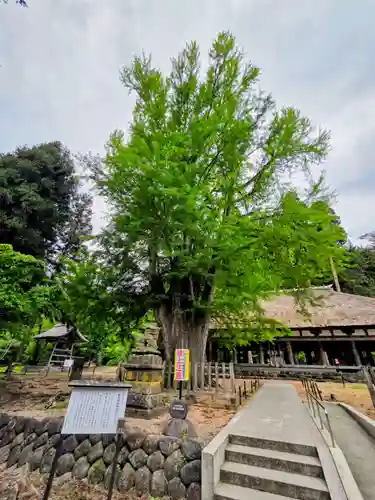 新宮熊野神社(福島県)