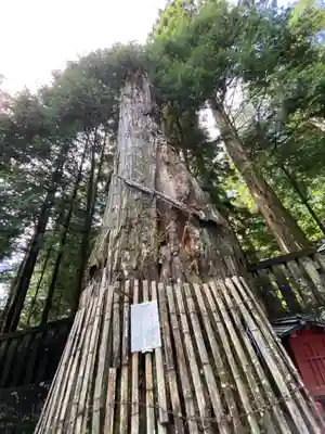 日光東照宮奥宮拝殿(栃木県)