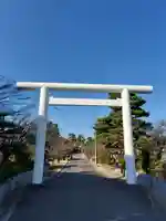 開成山大神宮の鳥居