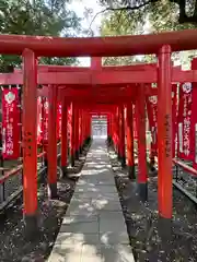 大杉神社(茨城県)