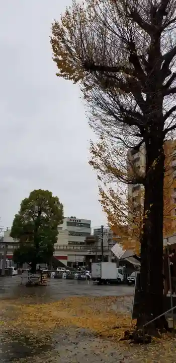 亀有香取神社の自然