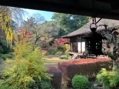 喜多院(埼玉県)