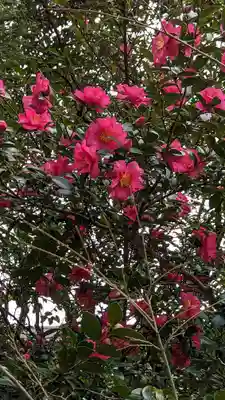 法金剛院(京都府)