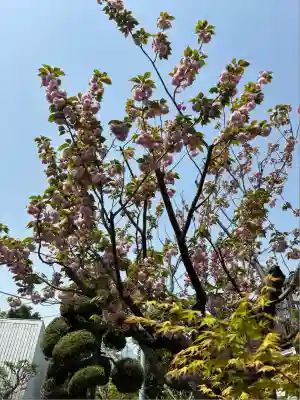 蟠龍寺(東京都)