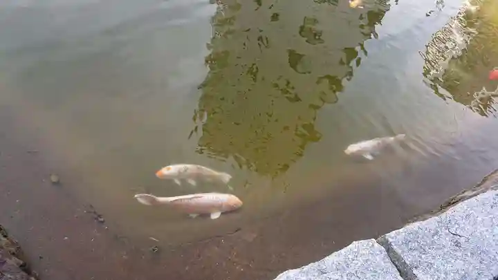 住吉神社の動物