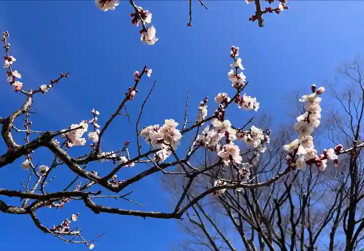 眞田神社(長野県)