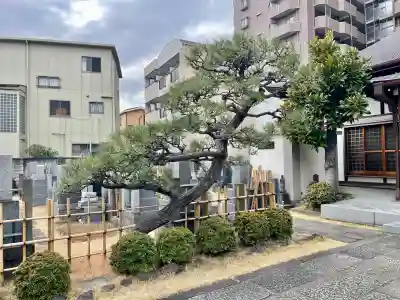 龍光寺の{uncategorized: "未分類", other: "その他", undefined: "問題あり", building: "その他建物", grave: "お墓", sacred_gate: "鳥居", guardian: "狛犬", statue: "像", buddha: "仏像", history: "歴史", nature: "自然", garden: "庭園", animal: "動物", pagoda: "塔", temizu: "手水舎", mountain_gate: "山門・神門", sanctuary: "本殿・本堂", subordinate: "末社・摂社", art: "芸術", scenery: "景色", jizo: "地蔵", ema: "絵馬", goshuin: "御朱印", omikuji: "おみくじ", items: "授与品その他", amulet: "お守り", goshuincho: "御朱印帳", eats: "食事", festival: "お祭り", votive_dance: "神楽", shichigosan: "七五三参", wedding: "結婚式", experience: "体験その他", initially: "初詣", around: "周辺", anti_infection: "感染症対策"}