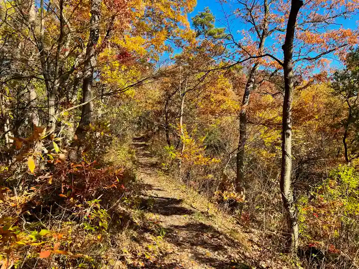 愛宕神社の自然