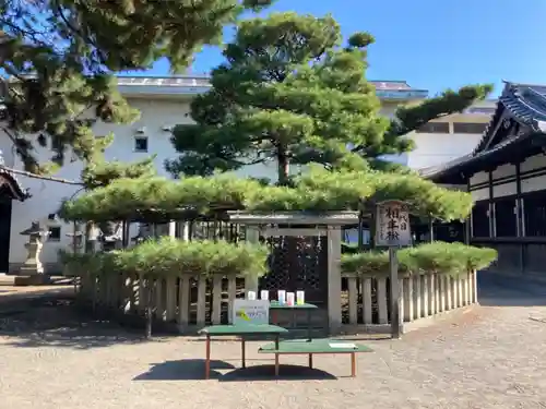 高砂神社の庭園