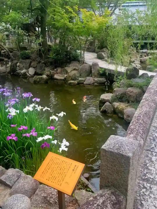 西宮神社の{uncategorized: "未分類", other: "その他", undefined: "問題あり", building: "その他建物", grave: "お墓", sacred_gate: "鳥居", guardian: "狛犬", statue: "像", buddha: "仏像", history: "歴史", nature: "自然", garden: "庭園", animal: "動物", pagoda: "塔", temizu: "手水舎", mountain_gate: "山門・神門", sanctuary: "本殿・本堂", subordinate: "末社・摂社", art: "芸術", scenery: "景色", jizo: "地蔵", ema: "絵馬", goshuin: "御朱印", omikuji: "おみくじ", items: "授与品その他", amulet: "お守り", goshuincho: "御朱印帳", eats: "食事", festival: "お祭り", votive_dance: "神楽", shichigosan: "七五三参", wedding: "結婚式", experience: "体験その他", initially: "初詣", around: "周辺", anti_infection: "感染症対策"}