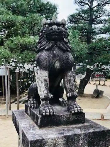智恩寺の狛犬