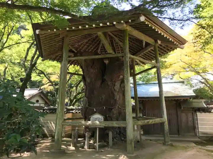 根香寺のその他建物