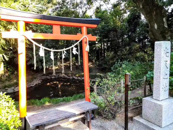鷲宮神社(埼玉県)