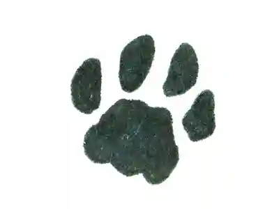 高司神社〜むすびの神の鎮まる社〜(福島県)