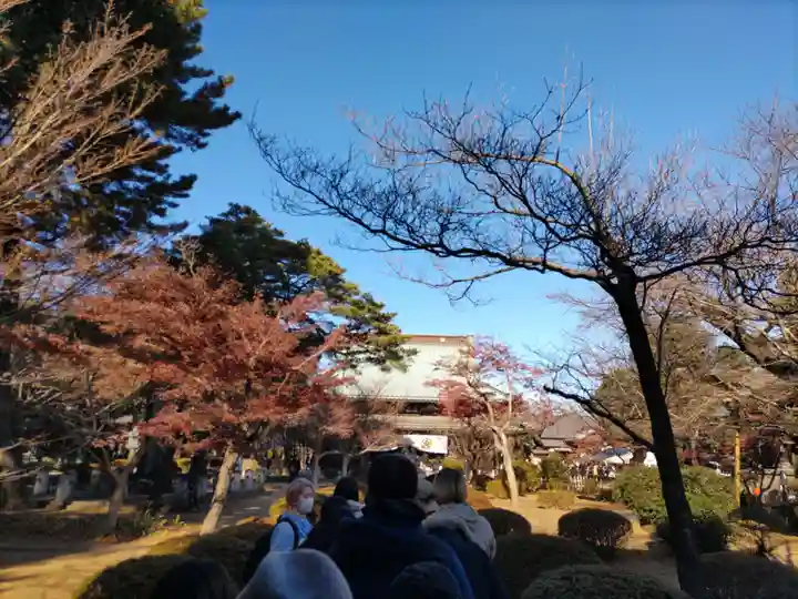 豪徳寺(東京都)