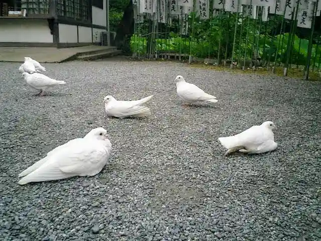 旗上弁財天社の動物