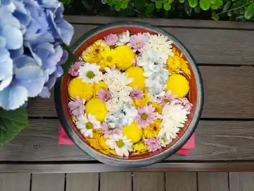 増上寺塔頭 三縁山 宝珠院の手水舎