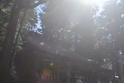 鹿島神宮(茨城県)