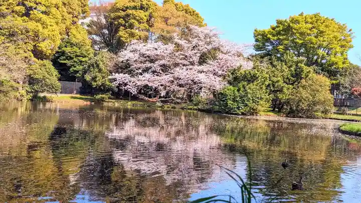 菊田神社の周辺