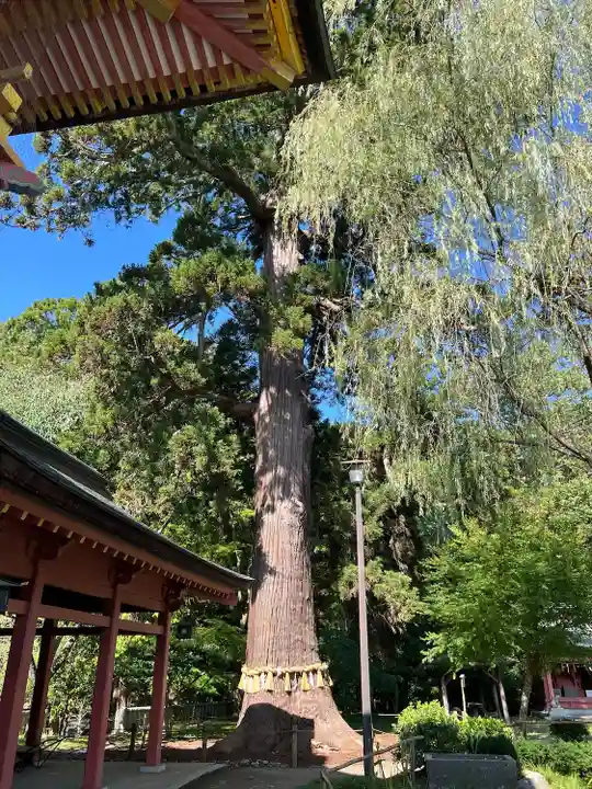 志波彦神社・鹽竈神社(宮城県)