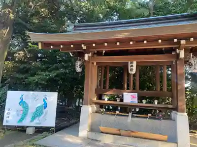進雄神社(群馬県)