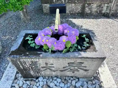 妙昌寺(埼玉県)